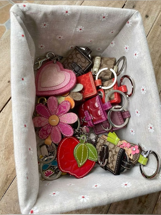 Coach Accessories - ISO / WTB Y2K COACH KEYCHAINS & CHARMS